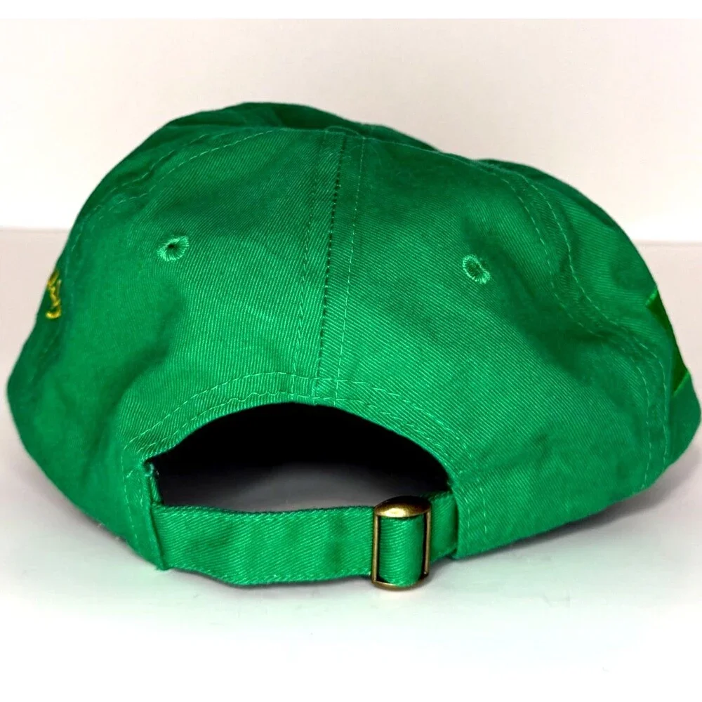 Tampa Bay Rays TB Florida Irish Green Hat Cap Irish Flag Strapback Dad Hat